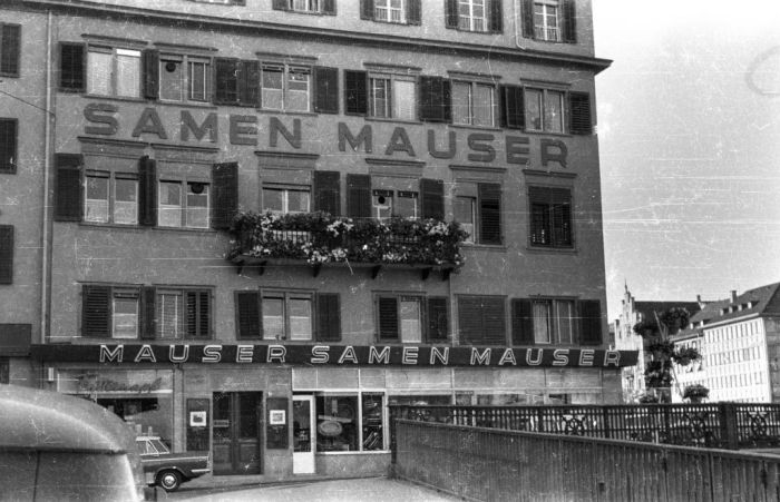 forte19595