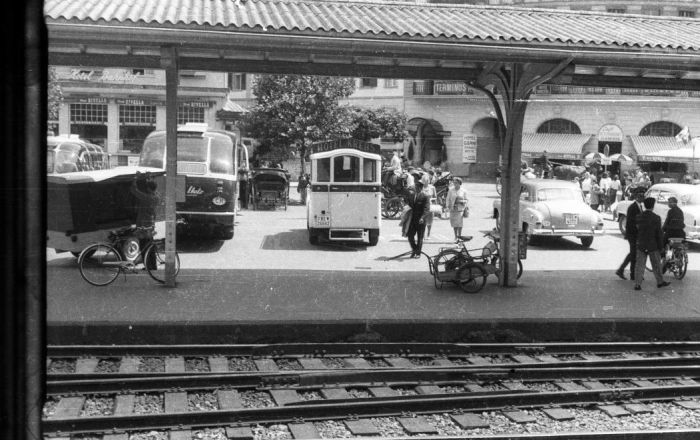 forte19596