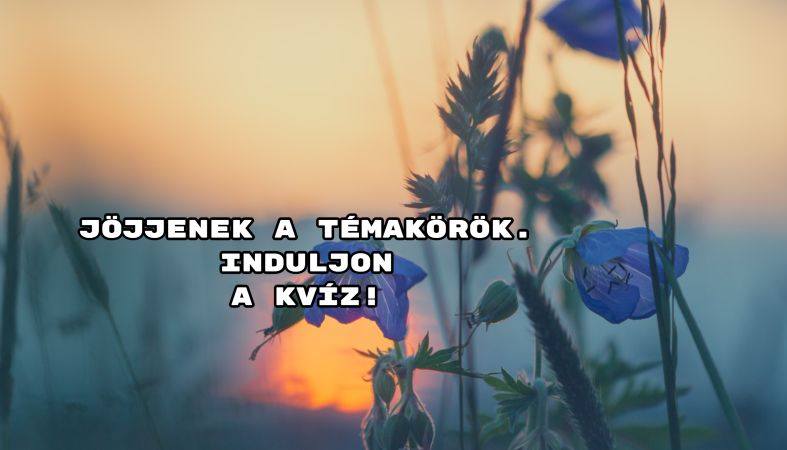 Íme 10 szórakoztató kvíz, amit ajánlunk a figyelmedbe