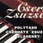 Folytasd Cserháti Zsuzsa slágerét – megy a 8 helyes válasz?