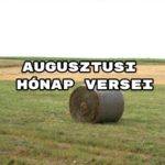 Augusztusi hónap versei egy csokorban - íme az év 8. hónapjának versei.