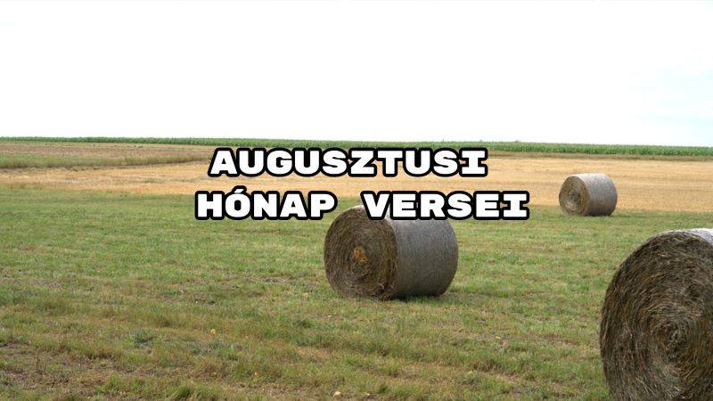 Augusztusi hónap versei egy csokorban - íme az év 8. hónapjának versei.
