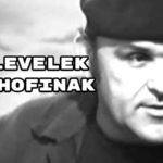 Levelek Hofinak címmel rövid írás jelent meg a Népszavában.