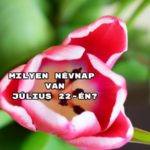 Milyen névnap van július 22-én? Mutatjuk!