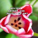 Milyen névnap van július 23-án? Mutatjuk!