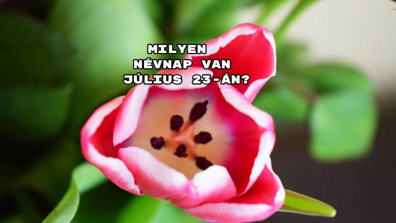 Milyen névnap van július 23-án? Mutatjuk!