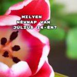 Milyen névnap van július 24-én? Mutatjuk!