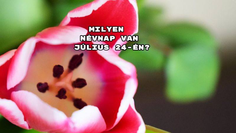 Milyen névnap van július 24-én? Mutatjuk!