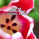 Milyen névnap van július 25-én? Mutatjuk!