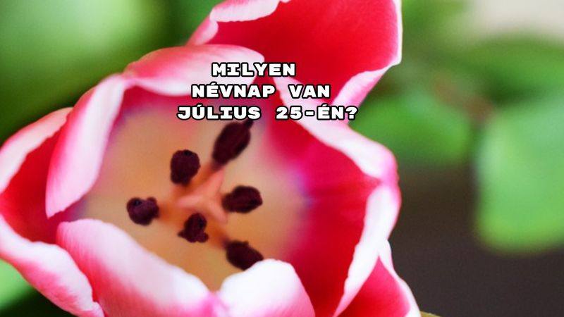 Milyen névnap van július 25-én? Mutatjuk!