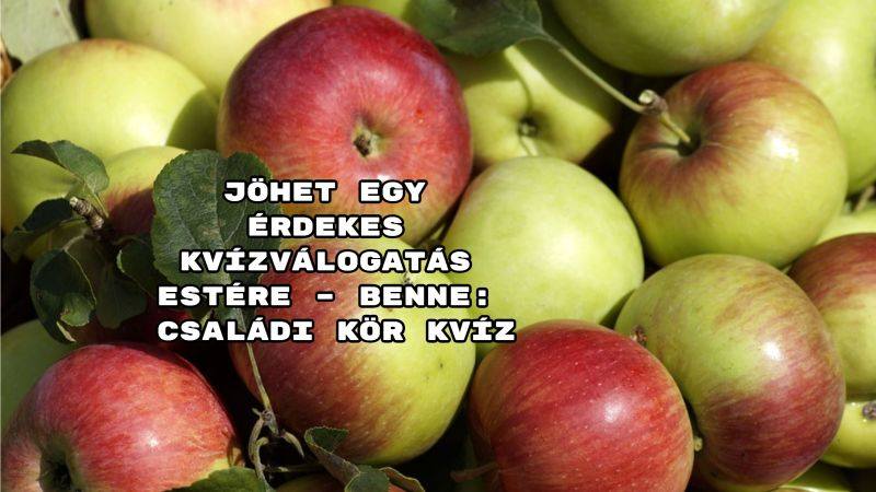 Jöhet egy érdekes kvízválogatás estére – benne: Családi kör kvíz.