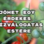 Jöhet egy érdekes kvízválogatás estére – benne: Tudáspróba KVÍZ