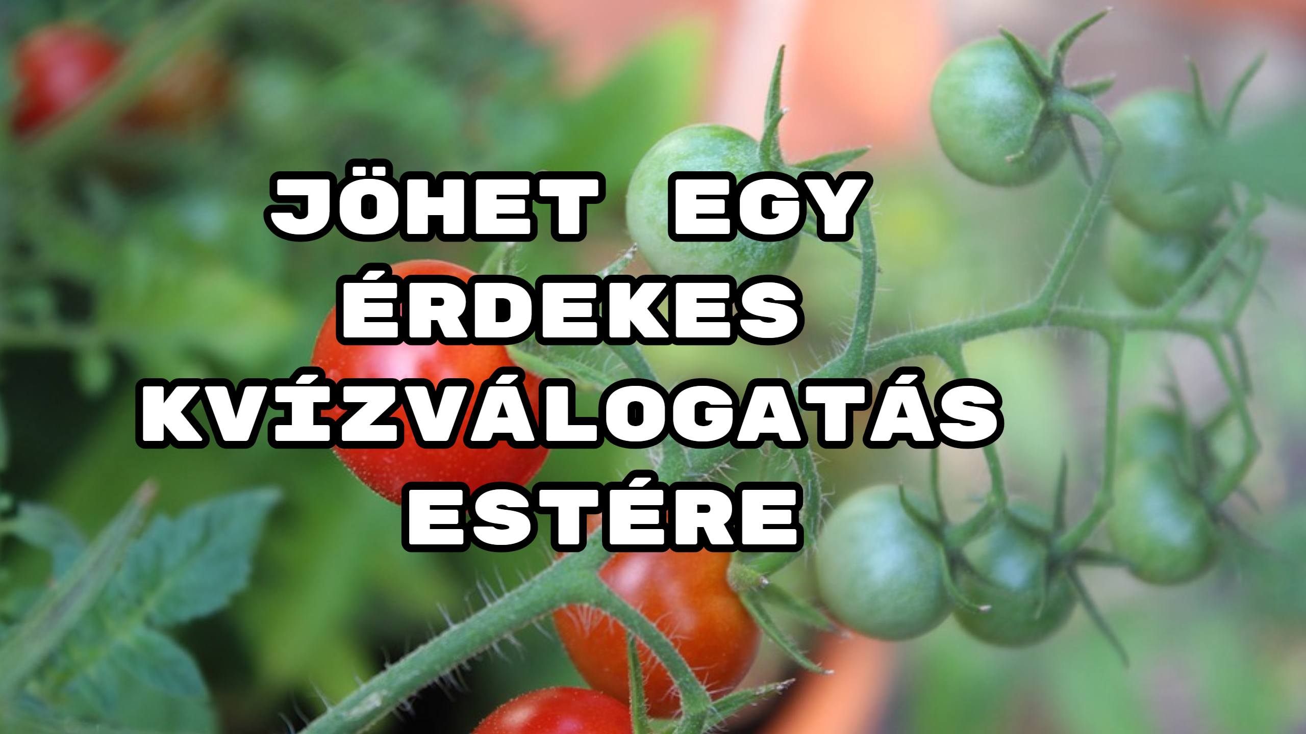 Jöhet egy érdekes kvízválogatás estére – benne: Tudáspróba KVÍZ