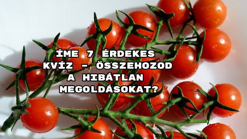 Íme 7 érdekes kvíz – összehozod a hibátlan megoldásokat?