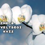 Íme 8 műveltségi kvíz