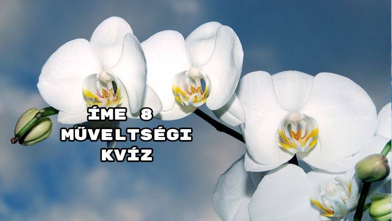 Íme 8 műveltségi kvíz