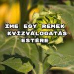 Íme egy remek kvízválogatás estére – benne: Tippelsz vagy tudod a választ?