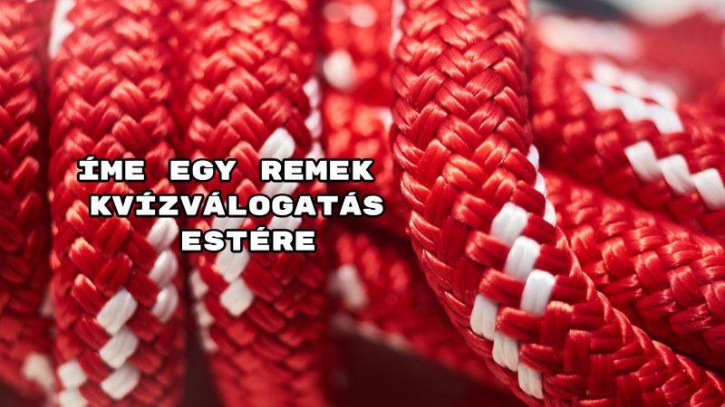 Íme egy remek kvízválogatás estére – benne: 10 szólás-mondás keresi a megfelelő állatot!