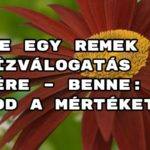 Íme egy remek kvízválogatás estére – benne: Tudod a mértéket? kvíz.