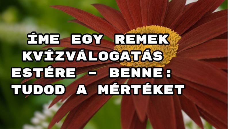 Íme egy remek kvízválogatás estére – benne: Tudod a mértéket? kvíz.