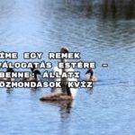 Íme egy remek kvízválogatás estére – benne: Állati közmondások kvíz