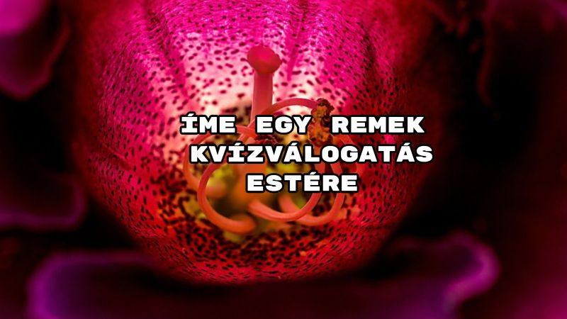 Íme egy remek kvízválogatás estére – benne: Irodalmi kvíz regényekkel