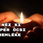 Így néz ki Flipper Öcsi síremléke