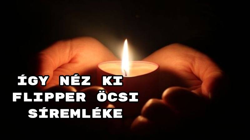 Így néz ki Flipper Öcsi síremléke