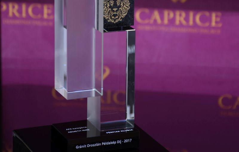 II. Gránit Oroszlán Példakép Díj