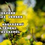 Legszebb tavaszi versek – íme 12 nagyszerű költemény a tavaszról