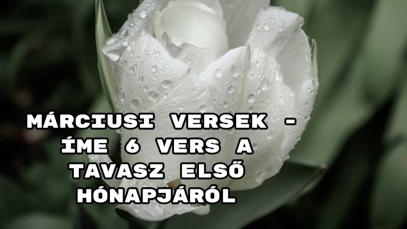 Márciusi versek - íme 6 vers a tavasz első hónapjáról