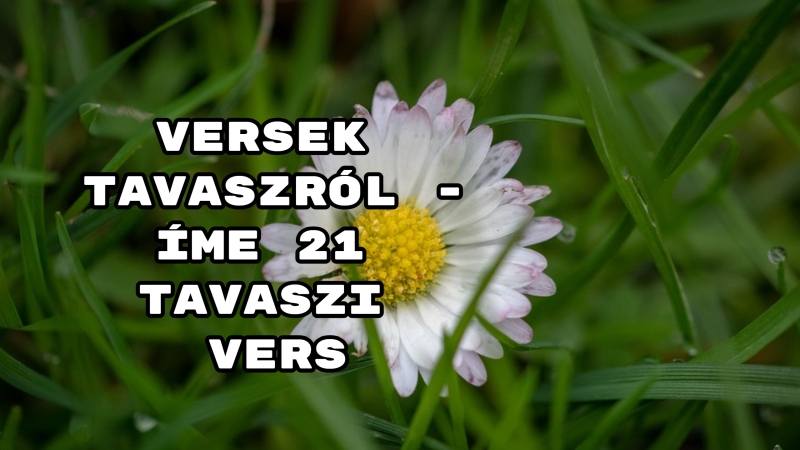 Versek tavaszról - íme 21 tavaszi vers