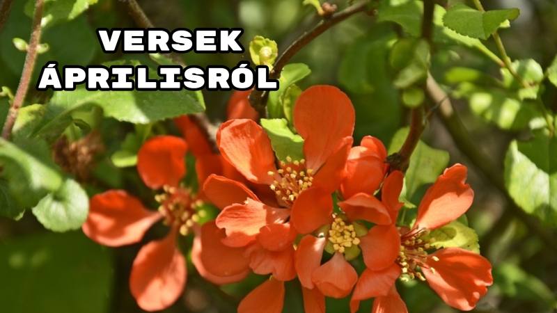 Versek áprilisról