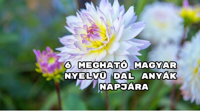 6 megható magyar nyelvű dal anyák napjára